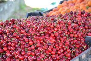 Sejem križani četrtek 10.05.2018 65